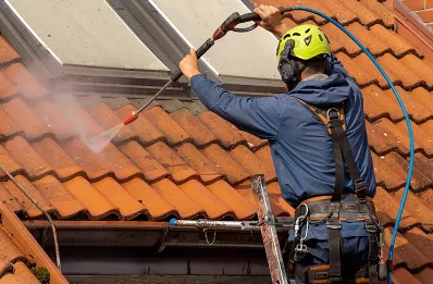 Démoussage et hydrofuge de toiture à Berthelming